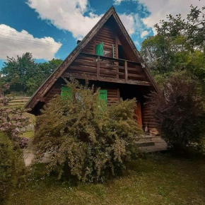 Mountain magic cottage